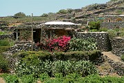 2013-07-14_14h59m32-Damuso-1