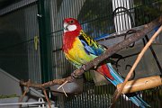 DSCF0663