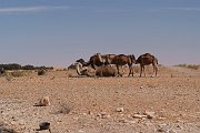 2012-05-22_09h01m35-