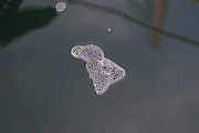 2013-05-18_17h14m07