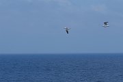 2012-03-01_11h35m23-