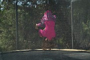 2013-03-23_11h50m40