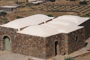 Dammusi