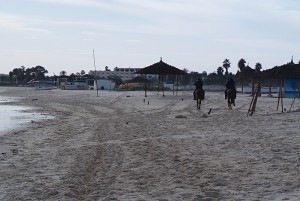 Cavaliers sur la plage